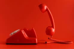 Dedicated phone line answered in company name